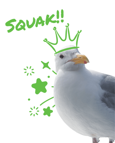 Seagull