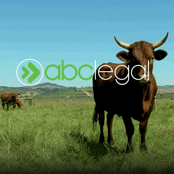 Seriously_Everywhere_560x560_Gif_EndMessagingOnly